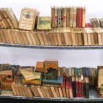 2 carts full of young reader books