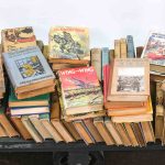 2 carts full of young reader books