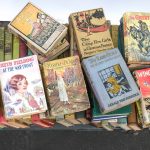 2 carts full of young reader books
