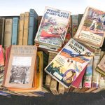 2 carts full of young reader books