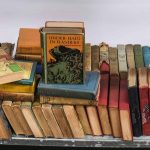 2 carts full of young reader books