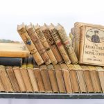 2 carts full of young reader books