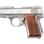 AMT Backup .380 ACP Semi Auto Pistol Auction