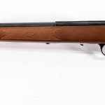 Marlin 917 M2 Mach 2 .17hmr Rifle Auction