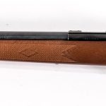 Marlin 917 M2 Mach 2 .17hmr Rifle Auction