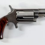 NAA Mini Revolver .22mag