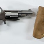 NAA Mini Revolver .22mag