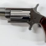NAA Mini Revolver .22mag
