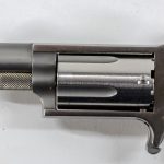 NAA Mini Revolver .22mag