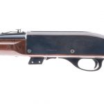 Remington Mohawk 10C .22 LR Semi Auto Rifle Auction