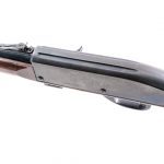 Remington Mohawk 10C .22 LR Semi Auto Rifle Auction