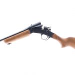 Rossi M 2022 .22 LR 20ga Rifle Auction Shotgun