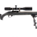 Ruger 10/22 .22 LR Semi Auto Rifle