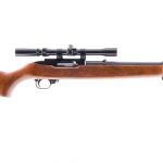 Ruger 10/22 .22lr Semi-Auto Rifle