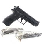 Sig Sauer P226 Navy 9mm Semi Auto Pistol