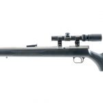 T/C Black Diamond .50 BP Rifle Auction