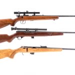 Three .22 Rifle Auctions: Norinco, Mossberg, Tula