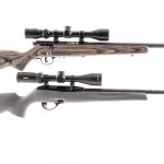 Two .22 Rifle Savage / Remington
