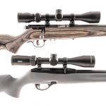 Two .22 Rifle Savage / Remington