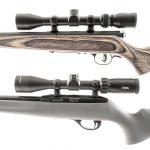 Two .22 Rifle Savage / Remington