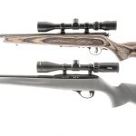 Two .22 Rifle Savage / Remington