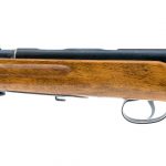 Two Rifle Auctions and One Shotgun: Savage Mossberg