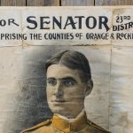 Rough Rider NY State Senate Campaign Poster