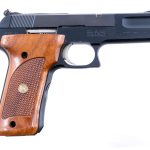 S&W 422 .22 LR Semi Auto Pistol