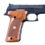 S&W 422 .22 LR Semi Auto Pistol