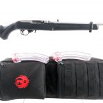 Ruger 10/22 Takedown .22 LR Semi-Auto Rifle