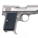 AMT Back Up .22 LR Semi-Auto Pistol