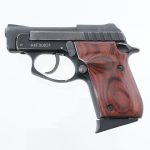 Taurus PT-22 .22 LR Semi-Auto Pistol