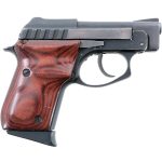 Taurus PT-22 .22 LR Semi-Auto Pistol