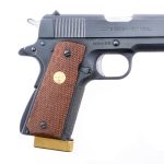 Colt Govt Series 70 .45 Semi Pistol