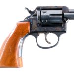Iver Johnson 50 Sidewinder .22 Revolver