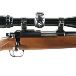 Ruger 77/22 .22 LR Bolt Action Rifle