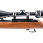 Ruger 10/22 Carbine .22 LR Semi-Auto Rifle