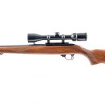 Ruger 10/22 Carbine .22 LR Semi-Auto Rifle
