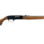 Winchester 190 .22 L LR Semi-Auto Rifle
