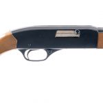 Winchester 190 .22 L LR Semi-Auto Rifle