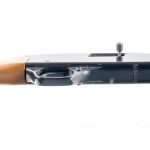 Winchester 190 .22 L LR Semi-Auto Rifle