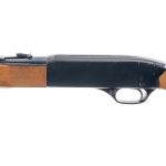 Winchester 190 .22 L LR Semi-Auto Rifle
