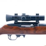 Ruger 10/22 .22 LR Semi-Auto Rifle