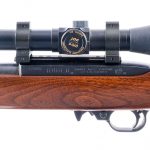 Ruger 10/22 .22 LR Semi-Auto Rifle