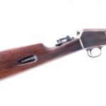Winchester 03 .22 Semi-Auto Rifle