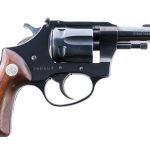 Charter Arms Pathfinder .22 Revolver