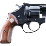 Charter Arms Pathfinder .22 Revolver