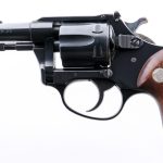 Charter Arms Pathfinder .22 Revolver