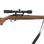 Ruger 10/22 .22 LR Semi Auto Rifle