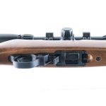 Ruger 10/22 .22 LR Semi Auto Rifle